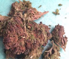 User uploaded image of Purple Alien OG