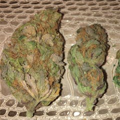 User uploaded image of Purple Alien OG