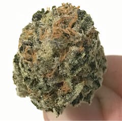 User uploaded image of Purple Alien OG