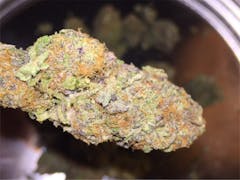 User uploaded image of Purple Berry