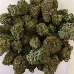 User uploaded image of Purple Berry
