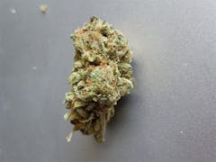 User uploaded image of Purple Berry