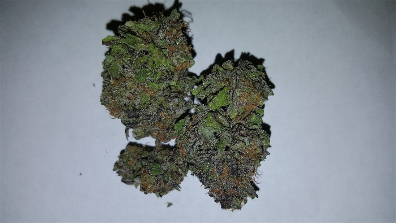 Purple Berry aka Purple Berry Kush, Granddaddy Blueberry, Blueberry
