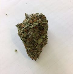 User uploaded image of Purple Berry