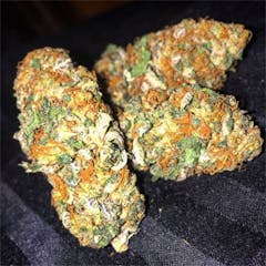 User uploaded image of Purple Berry