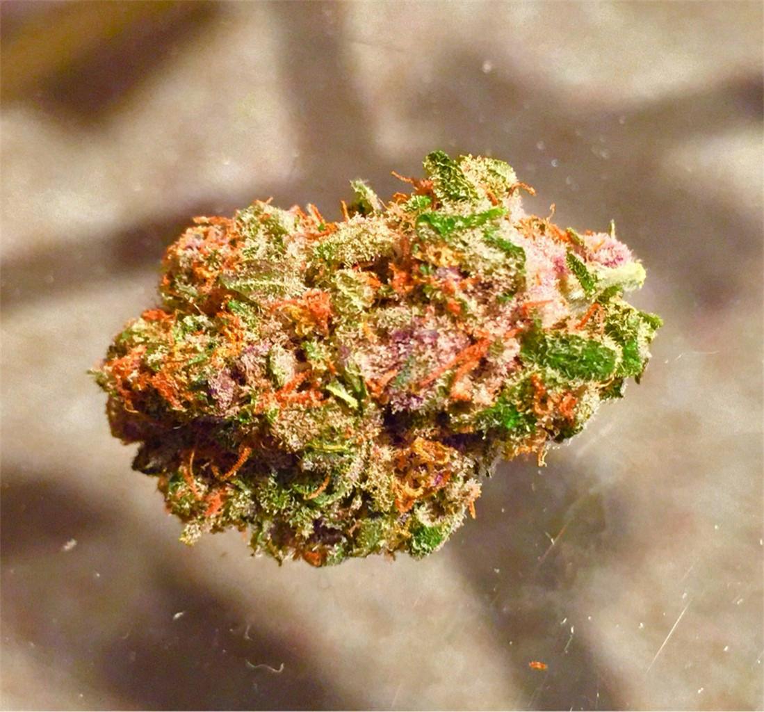 Photos of Purple Berry Weed Strain Buds Leafly