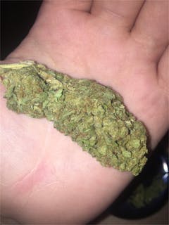 User uploaded image of Purple Bubba