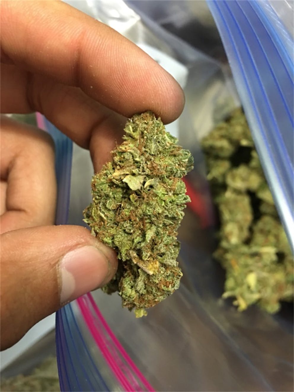 Photos of Purple Bubba Weed Strain Buds Leafly