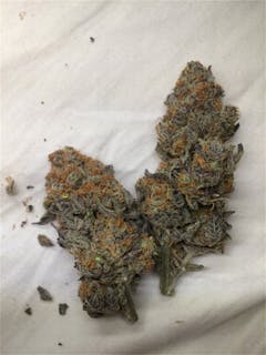 User uploaded image of Purple Buddha