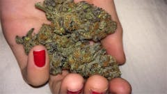 User uploaded image of Purple Buddha