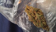 User uploaded image of Purple Buddha