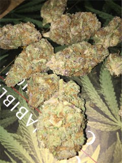 User uploaded image of Purple Bush