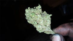 User uploaded image of Purple Champagne