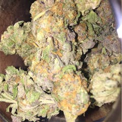 User uploaded image of Purple Champagne