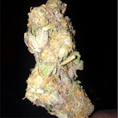 User uploaded image of Purple Champagne