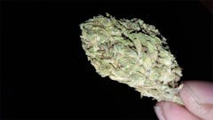 User uploaded image of Purple Champagne