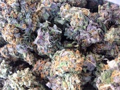 User uploaded image of Purple Champagne