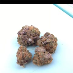 User uploaded image of Purple Cheddar