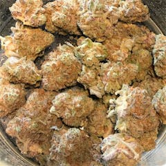 User uploaded image of Purple Cheddar