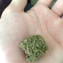 User uploaded image of Purple Cheese