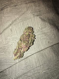 User uploaded image of Purple Cheese