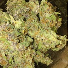 User uploaded image of Purple Cheese