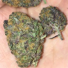 User uploaded image of Purple Cheese