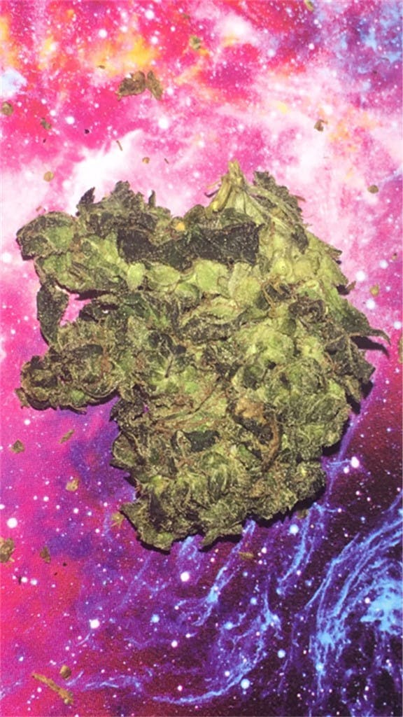 Purple Cheese aka Purple Cheese Auto Weed Strain Information Leafly