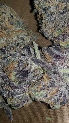 User uploaded image of Purple Chemdawg
