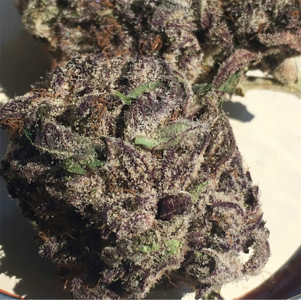 Purple Chemdawg aka Purple Chem, Purple Chemdog, P Dawg Weed Strain