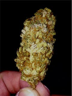 User uploaded image of Purple Cotton Candy