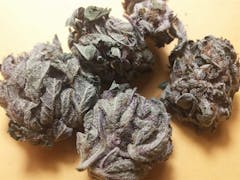 User uploaded image of Purple Cotton Candy