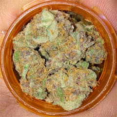 User uploaded image of Purple Crack