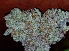 User uploaded image of Purple Crack