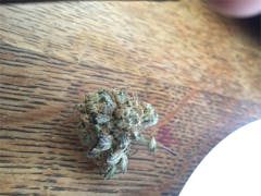 User uploaded image of Purple Cream