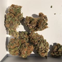 User uploaded image of Purple Diesel