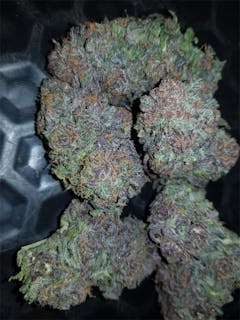 User uploaded image of Purple Dog Poop