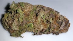 User uploaded image of Purple Dog Poop