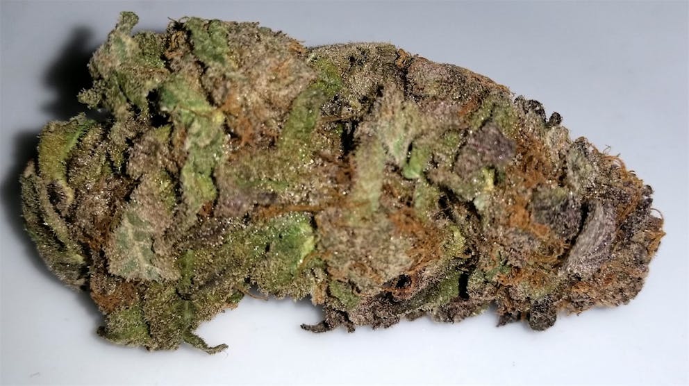 Photos of Purple Dog Poop Weed Strain Buds Leafly