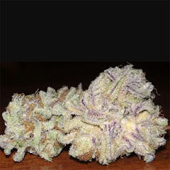 User uploaded image of Purple Dog Poop