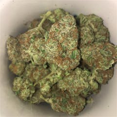 User uploaded image of Purple Dog Poop