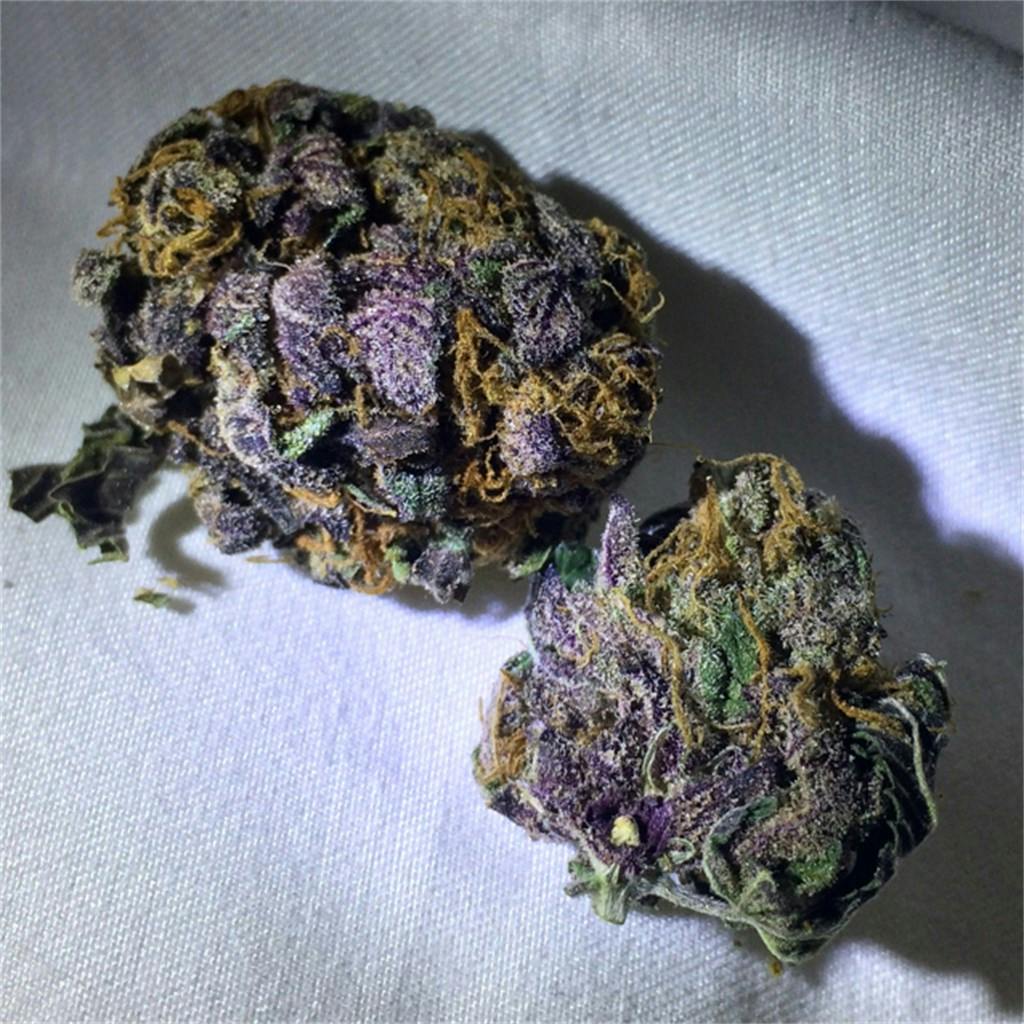 Purple Dragon Weed Strain Information Leafly