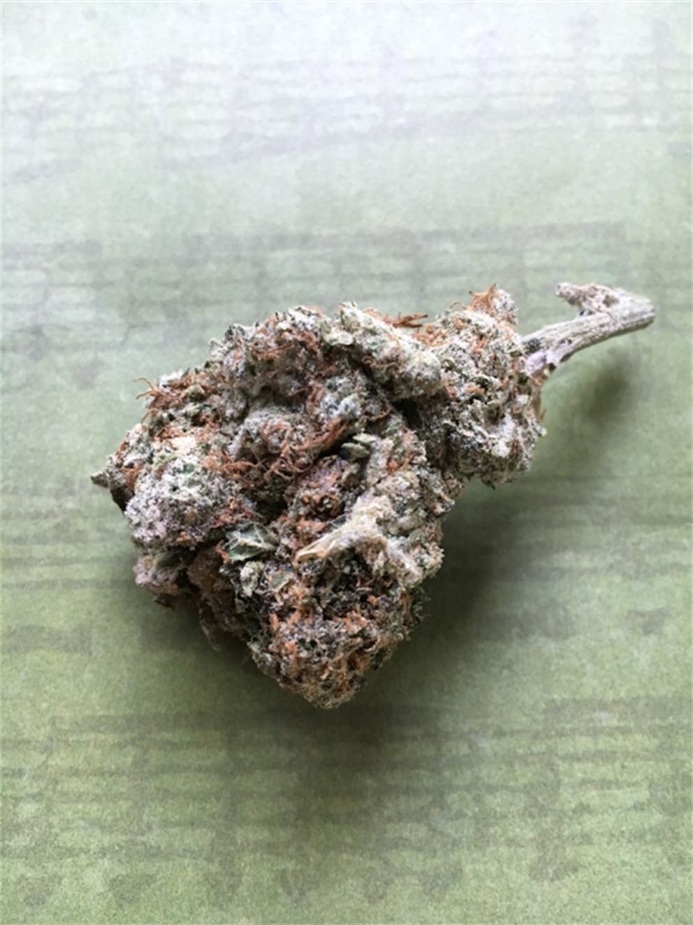 Photos of Purple Dragon Weed Strain Buds Leafly