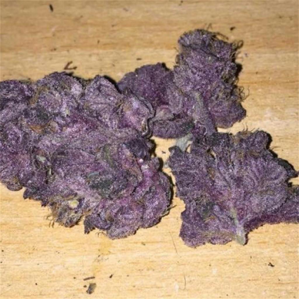 Photos of Purple Dragon Weed Strain Buds Leafly