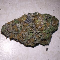User uploaded image of Purple Dragon