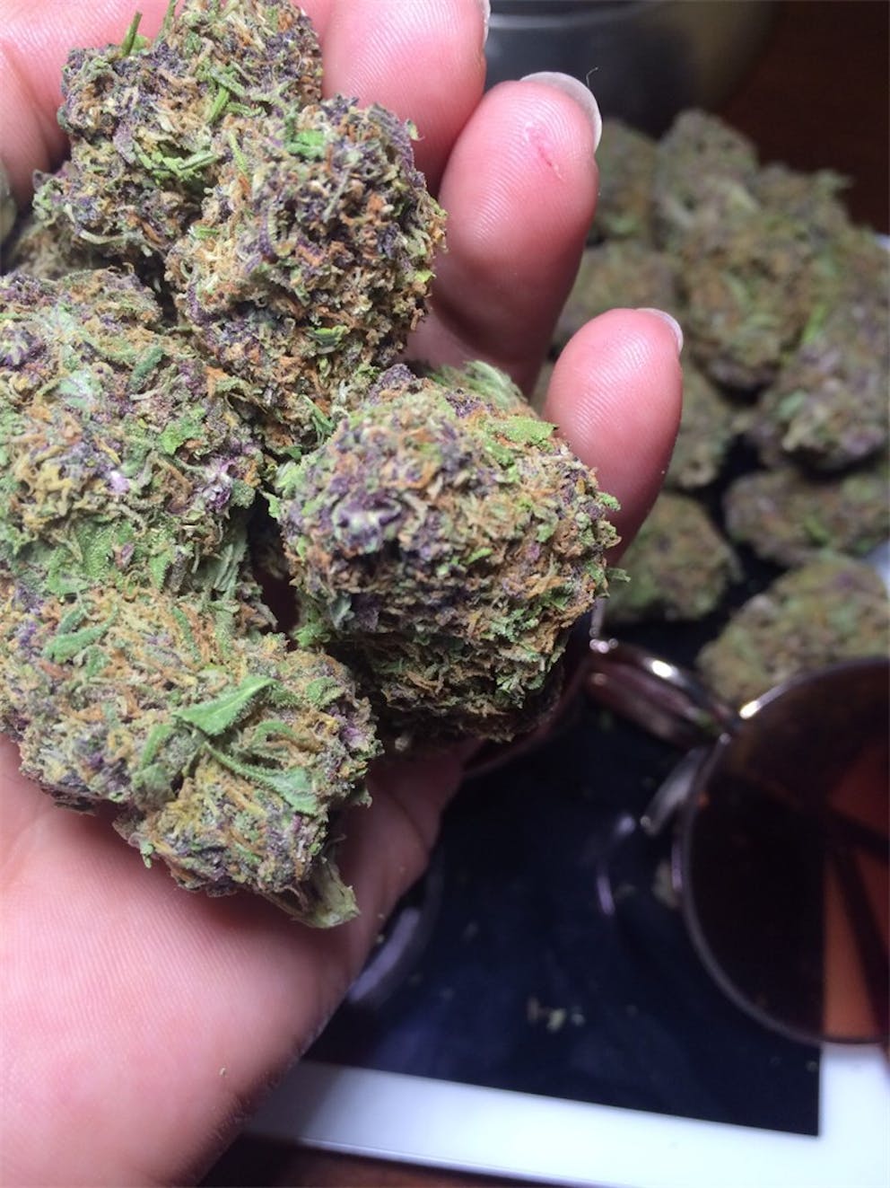 Photos of Purple Dragon Weed Strain Buds Leafly