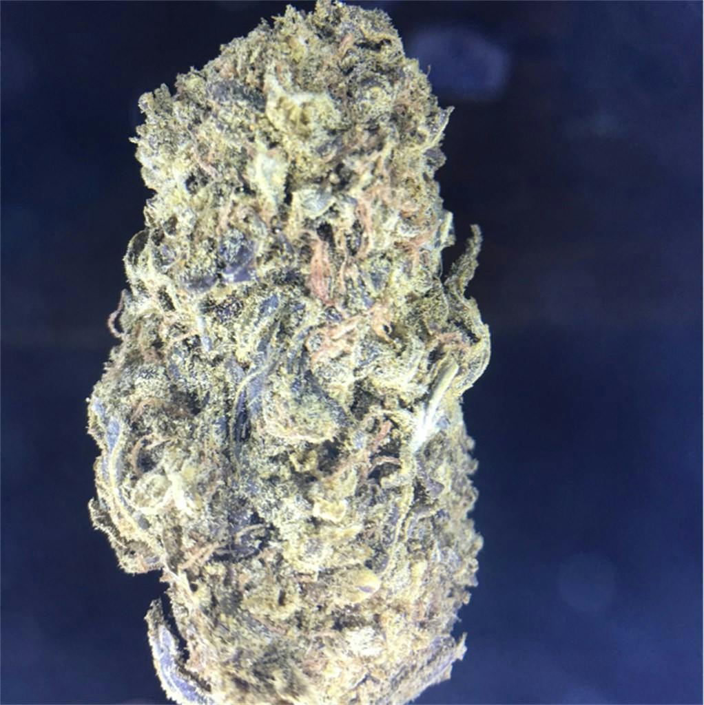 Purple Dream Weed Strain Information Leafly