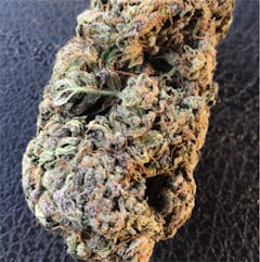 User uploaded image of Purple Dream