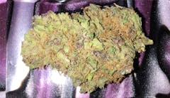 User uploaded image of Purple Dream