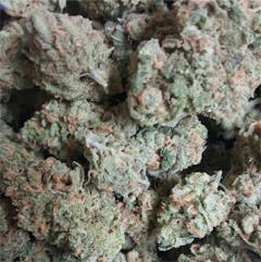 User uploaded image of Purple Dream